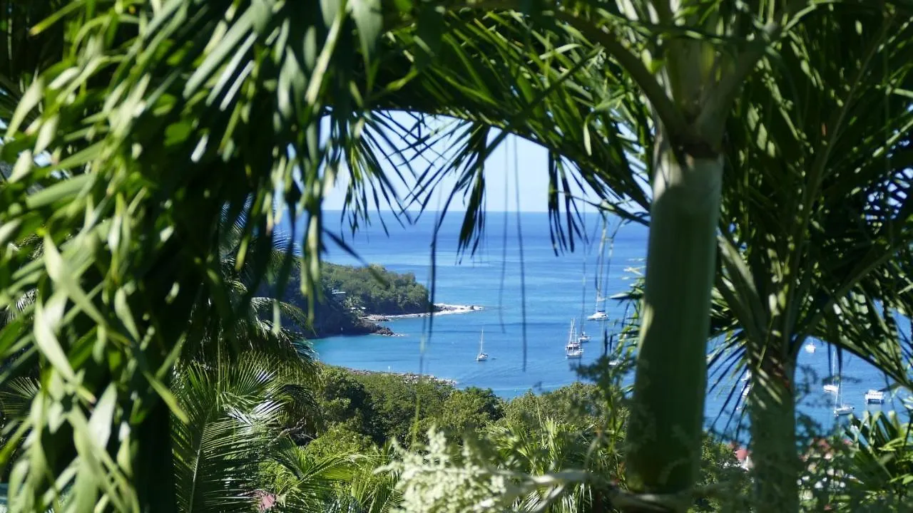 O Coeur De Deshaies Appartements Grande Anse Et Amandiers
