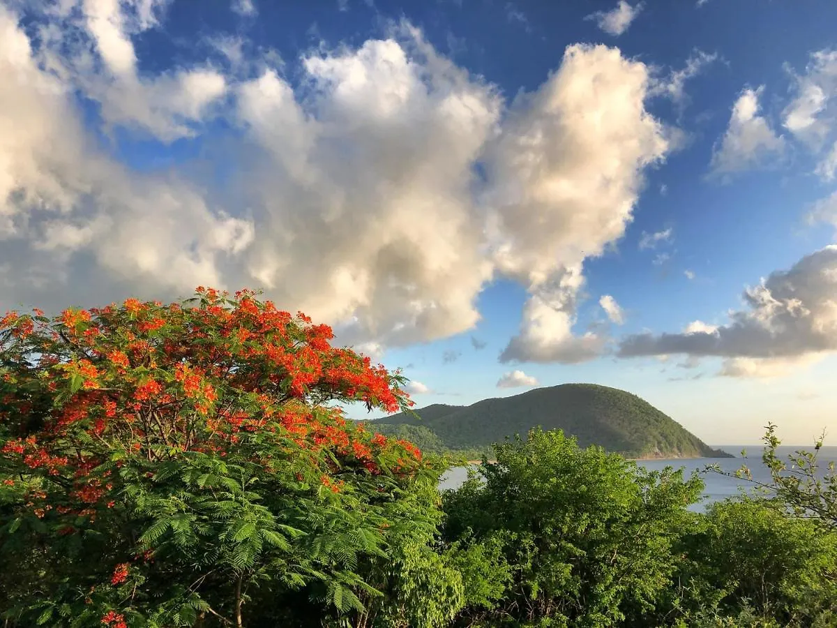 Apartamento O Coeur De Deshaies Appartements Grande Anse Et Amandiers Guadalupe
