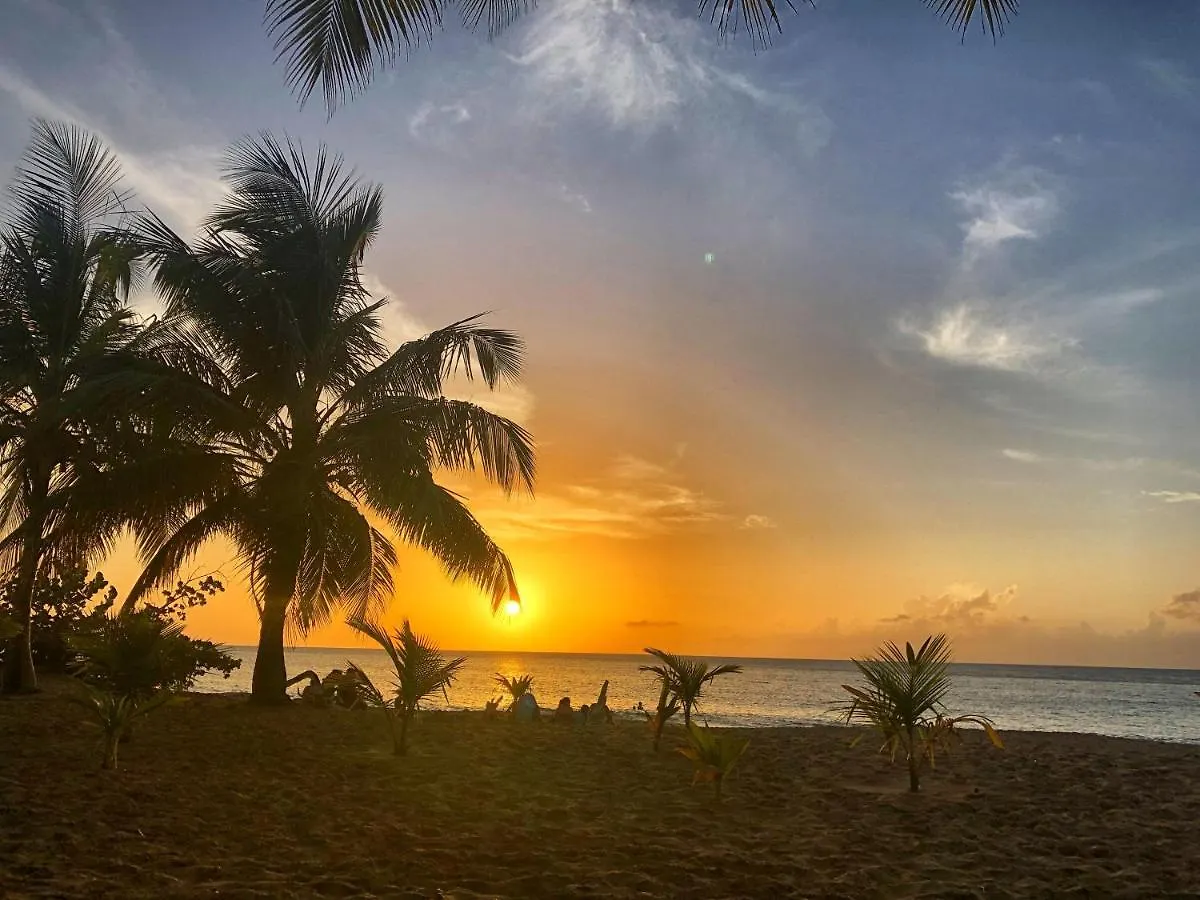 O Coeur de Deshaies Appartements Grande Anse et Amandiers